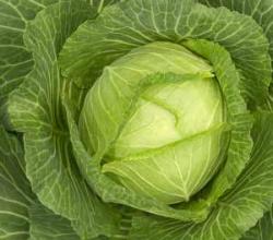 Cabbage side effects